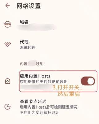 网络设置页：应用内置 Hosts 开关与查看节点延迟入口